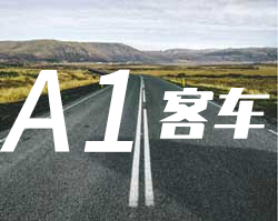 A1A1大型客车
